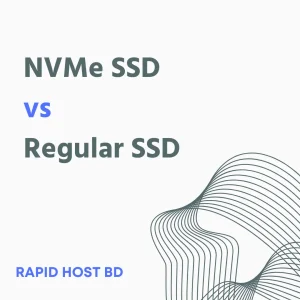 NVMe SSD Hosting vs Regular SSD