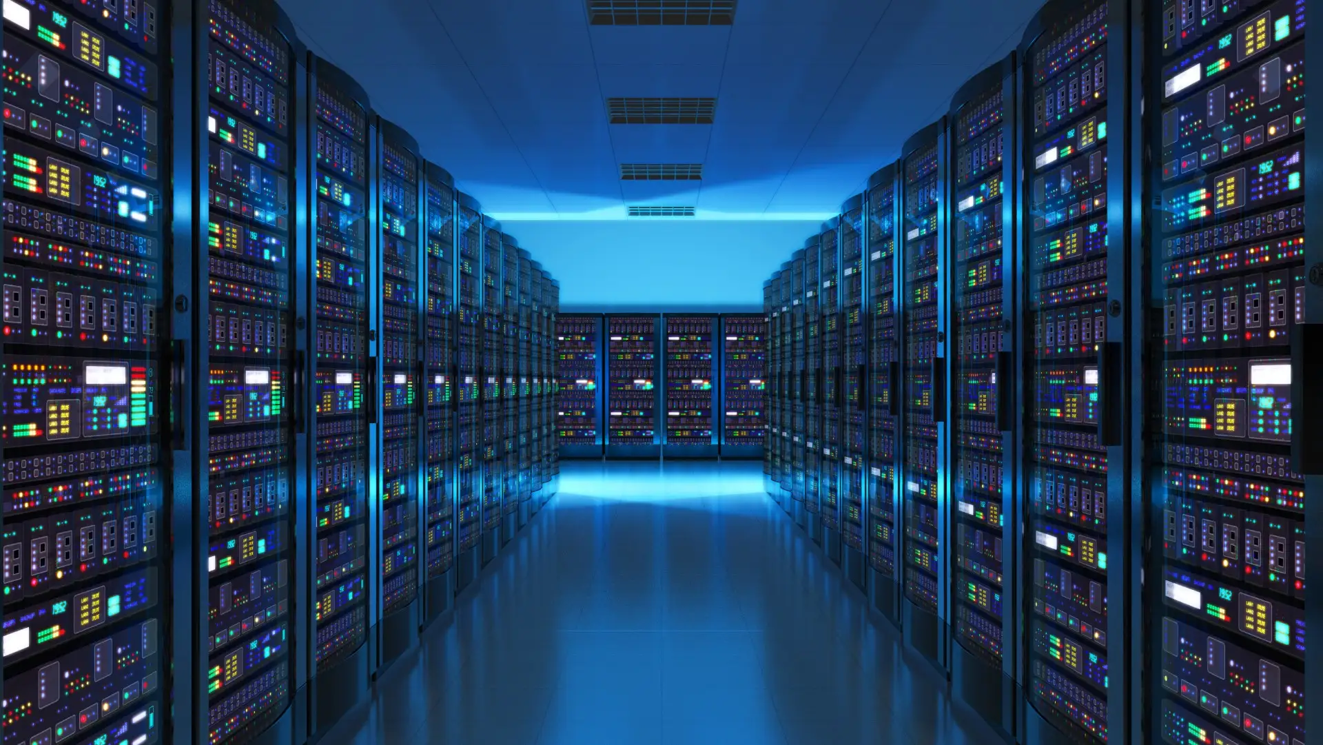 rapid host bd 2